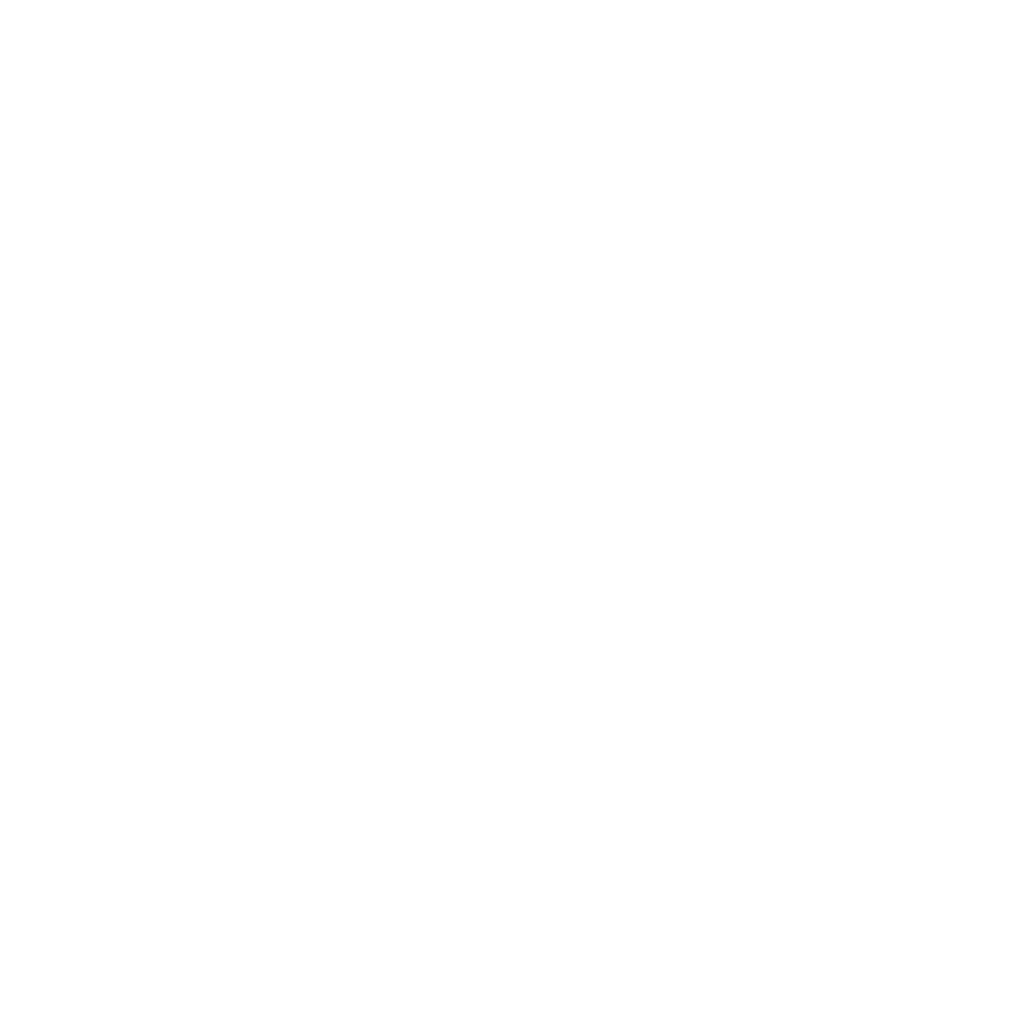 THE 985 LLC
